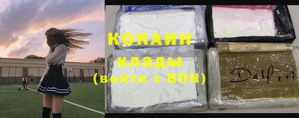стаф Няндома