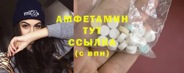 стаф Няндома