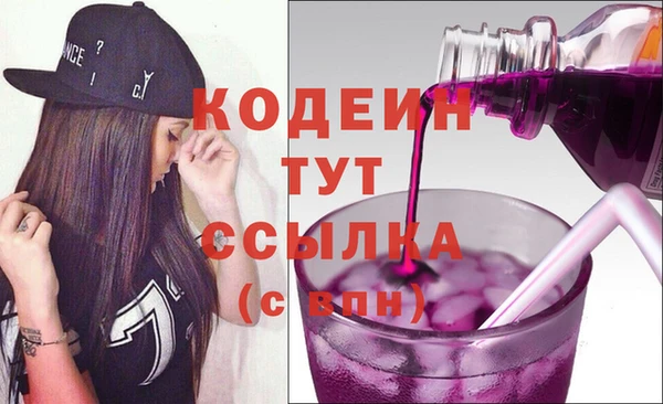 стаф Няндома