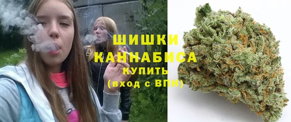 стаф Няндома